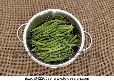 Stock Image - Raw green beans with savory, in a metal strainer. Fotosearch