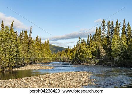 River landscape, Tarraatno river, Kvikkjokk, Laponia, Norrbotten, Lapland, Sweden, Europe View Large Photo Image Stock Image - River landscape, Tarraatno river, Kvikkjokk, Laponia, Norrbotten, Lapland, Sweden, Europe. Fotosearch