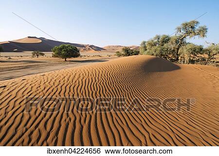 Stock Photograph - Sand dunes in Namib Desert, Namib-Naukluft National Park, Sossusvlei, Namibia, Africa. Fotosearch