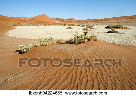 Sand dunes in Namib Desert, Namib-Naukluft National Park, Sossusvlei, Namibia, Africa View Large Photo Image Stock Photography - Sand dunes in Namib Desert, Namib-Naukluft National Park, Sossusvlei, Namibia, Africa. Fotosearch