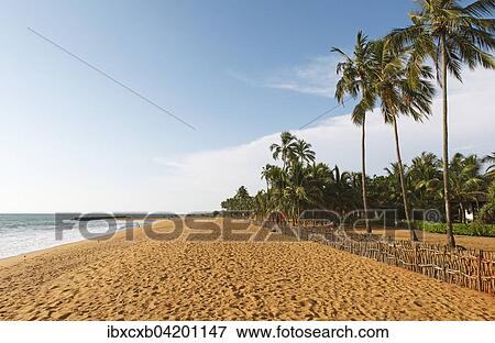 Stock Photo - Sandy beach, Waikkal, Western Province, Indian Ocean, Ceylon, Sri Lanka, Asia. Fotosearch