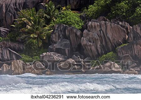 Sea with granite rocks and palm trees, Grand Anse, La Digue Island, Seychelles, Africa View Large Photo Image Stock Image - Sea with granite rocks and palm trees, Grand Anse, La Digue Island, Seychelles, Africa. Fotosearch