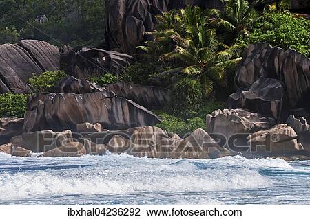 Sea with granite rocks and palm trees, Grand Anse, La Digue Island, Seychelles, Africa View Large Photo Image Stock Image - Sea with granite rocks and palm trees, Grand Anse, La Digue Island, Seychelles, Africa. Fotosearch
