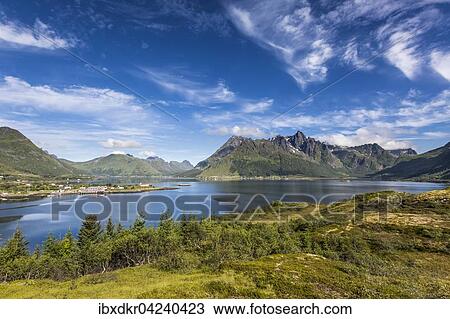 Sildpollen, Austnesfjorden, Vagan, Vagan, Austvagoya, Austvagoy, Lofoten, Nordland, Northern Norway, Norway, Europe View Large Photo Image Stock Image - Sildpollen, Austnesfjorden, Vagan, Vagan, Austvagoya, Austvagoy, Lofoten, Nordland, Northern Norway, Norway, Europe. Fotosearch