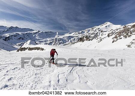 Ski tourers ascending Madritschspitze in Martell, Zufallspitze and Veneziaspitzen behind, Stelvio National Park, Ortler Alps, Val Venosta, South Tyrol, Trentino-Alto Adige, Italy, Europe View Large Photo Image Stock Image - Ski tourers ascending Madritschspitze in Martell, Zufallspitze and Veneziaspitzen behind, Stelvio National Park, Ortler Alps, Val Venosta, South Tyrol, Trentino-Alto Adige, Italy, Europe. Fotosearch