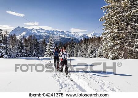 Ski tourers ascending the Cima Bocche at Passo Valles, behind the Colbricon, Parco Naturale Paneveggio, Pale di San Marino, Dolomites, Trentino, Italy, Europe View Large Photo Image Stock Photo - Ski tourers ascending the Cima Bocche at Passo Valles, behind the Colbricon, Parco Naturale Paneveggio, Pale di San Marino, Dolomites, Trentino, Italy, Europe. Fotosearch