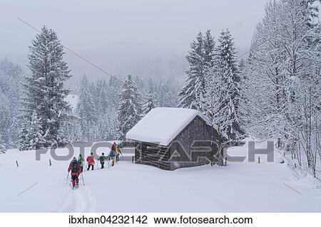 Snowshoe walking, Bad Mitterndorf, Styria, Austria, Europe View Large Photo Image Stock Image - Snowshoe walking, Bad Mitterndorf, Styria, Austria, Europe. Fotosearch