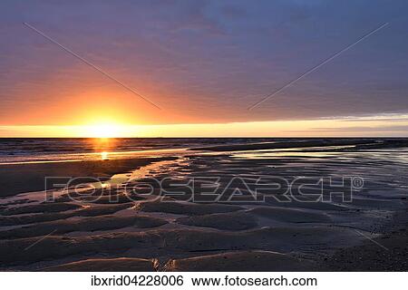 Sunset at low tide, North Sea, Texel, West Frisian Islands, Province of North Holland, The Netherlands, Europe View Large Photo Image Stock Photograph - Sunset at low tide, North Sea, Texel, West Frisian Islands, Province of North Holland, The Netherlands, Europe. Fotosearch