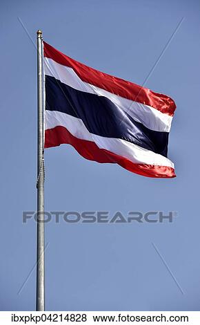 Thai flag blowing in the wind, Thailand, Asia View Large Photo Image Stock Photo - Thai flag blowing in the wind, Thailand, Asia. Fotosearch