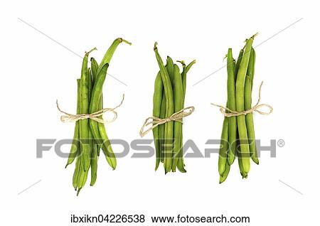 Stock Photo - Three bundles of green beans, tied with string. Fotosearch