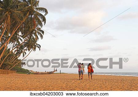 Stock Image - Traditional boat on the sandy beach, bordered by palm trees, in the evening light, Wadduwa, Western Province, Indian Ocean, Ceylon, Sri Lanka, Asia. Fotosearch