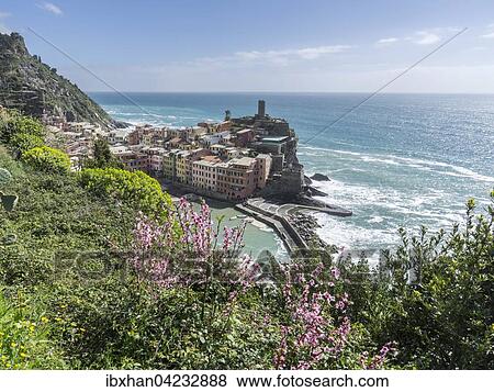 Vernazza, Cinque Terre, Liguria, Italy, Europe View Large Photo Image Stock Photo - Vernazza, Cinque Terre, Liguria, Italy, Europe. Fotosearch