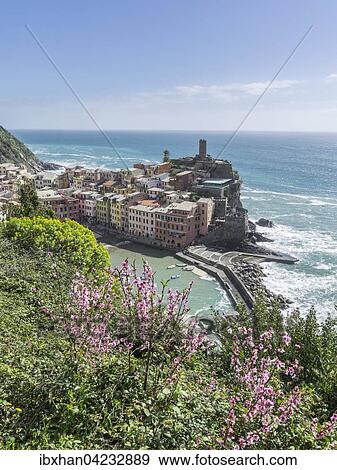 Vernazza, Cinque Terre, Liguria, Italy, Europe View Large Photo Image Stock Photo - Vernazza, Cinque Terre, Liguria, Italy, Europe. Fotosearch