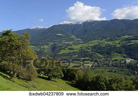 Stock Photo - View from Keschtnweg or Kastanienweg in Brixen to the Plose massif, Eisacktal, South Tyrol, Alto Adige, Italy, Europe. Fotosearch