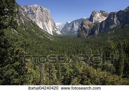 View into Yosemite Valley from Tunnel View, El Capitan left, Yosemite National Park, California, USA, North America View Large Photo Image Stock Image - View into Yosemite Valley from Tunnel View, El Capitan left, Yosemite National Park, California, USA, North America. Fotosearch