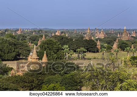 Picture - View of some of Bagan's 4000 temples at Sunset, Bagan, Myanmar, Asia. Fotosearch