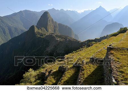 View of terraces at Machu Picchu, at sunrise, Peru, South America View Large Photo Image Stock Photo - View of terraces at Machu Picchu, at sunrise, Peru, South America. Fotosearch