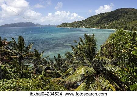 View of the sea at La Vanille, Praslin Island, Seychelles, Africa View Large Photo Image Picture - View of the sea at La Vanille, Praslin Island, Seychelles, Africa. Fotosearch