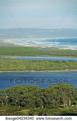 View of Walker Bay Nature Reserve near Hermanus, Garden Route, Western Cape, South Africa, Africa View Large Photo Image Stock Image - View of Walker Bay Nature Reserve near Hermanus, Garden Route, Western Cape, South Africa, Africa. Fotosearch