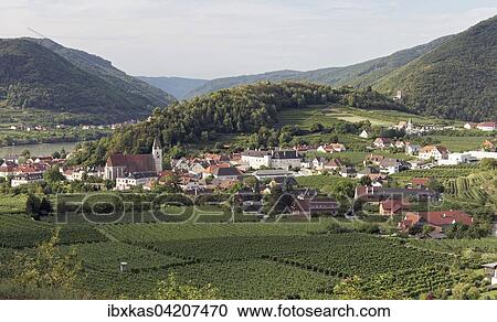 View over vineyards to Spitz an der Donau, Tausendeimerberg, Wachau, Waldviertel, Lower Austria, Austria, Europe View Large Photo Image Stock Image - View over vineyards to Spitz an der Donau, Tausendeimerberg, Wachau, Waldviertel, Lower Austria, Austria, Europe. Fotosearch