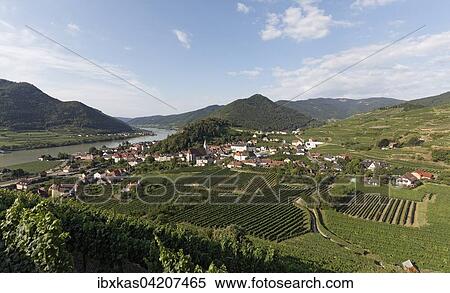 View over vineyards to Spitz an der Donau, Tausendeimerberg, Wachau, Waldviertel, Lower Austria, Austria, Europe View Large Photo Image Stock Photography - View over vineyards to Spitz an der Donau, Tausendeimerberg, Wachau, Waldviertel, Lower Austria, Austria, Europe. Fotosearch
