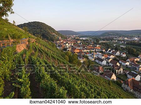 Vineyard on Schlossberg or Castle Hill, Klingenberg am Main, Spessart, Mainviereck, Lower Franconia, Franconia, Bavaria, Germany, Europe View Large Photo Image Stock Image - Vineyard on Schlossberg or Castle Hill, Klingenberg am Main, Spessart, Mainviereck, Lower Franconia, Franconia, Bavaria, Germany, Europe. Fotosearch