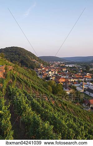Vineyard on Schlossberg or Castle Hill, Klingenberg am Main, Spessart, Mainviereck, Lower Franconia, Franconia, Bavaria, Germany, Europe View Large Photo Image Stock Photo - Vineyard on Schlossberg or Castle Hill, Klingenberg am Main, Spessart, Mainviereck, Lower Franconia, Franconia, Bavaria, Germany, Europe. Fotosearch
