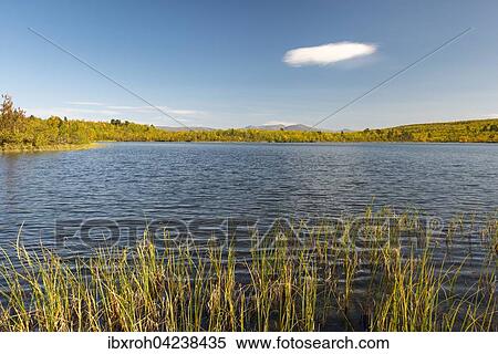 Vuolio Njahkajavri lake, Abisko National Park, Norrbotten, Lapland, Sweden, Europe View Large Photo Image Stock Photography - Vuolio Njahkajavri lake, Abisko National Park, Norrbotten, Lapland, Sweden, Europe. Fotosearch