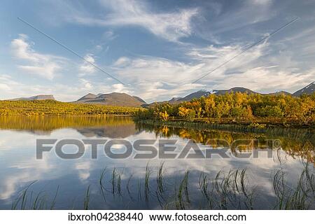 Vuolio Njahkajavri lake, Lapporten valley behind, Abisko National Park, Norrbotten, Lapland, Sweden, Europe View Large Photo Image Stock Image - Vuolio Njahkajavri lake, Lapporten valley behind, Abisko National Park, Norrbotten, Lapland, Sweden, Europe. Fotosearch