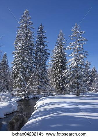 Winter stream, cross-country track Odensee, Bad Mitterndorf, Styria, Austria, Europe View Large Photo Image Stock Photography - Winter stream, cross-country track Odensee, Bad Mitterndorf, Styria, Austria, Europe. Fotosearch