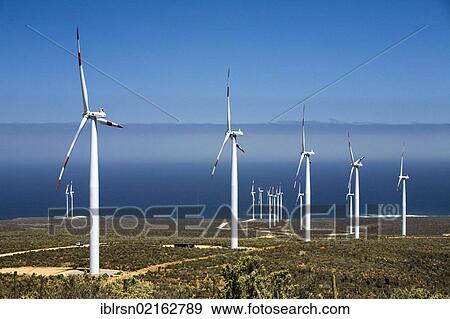 18-MW wind energy plant, built by Endesa in December 2009 in the no man's land between the Pan-American Highway and the Pacific Ocean, Los Vilos, Chile, South America View Large Photo Image Stock Photo - 18-MW wind energy plant, built by Endesa in December 2009 in the no man's land between the Pan-American Highway and the Pacific Ocean, Los Vilos, Chile, South America. Fotosearch