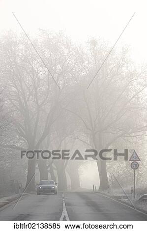Stock Photography - A country road in the morning fog, near Urmitz, Mayen-Koblenz district, Rhineland-Palatinate, Germany, Europe. Fotosearch