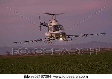 A helicopter sprays a field in the Imperical Valley, Holtville, California, USA, North America View Large Photo Image Picture - A helicopter sprays a field in the Imperical Valley, Holtville, California, USA, North America. Fotosearch
