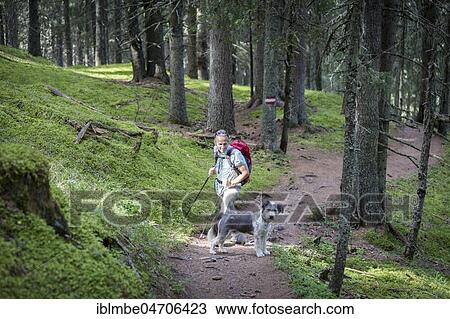 Stock Image - A hiker and his dog in the Rauris jungle, Hohe Tauern National Park, Kolm Saigurn, Rauris, Salzburger Land, Austria, Europe. Fotosearch