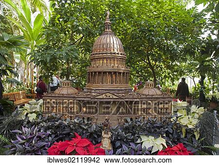 Stock Image - A model of the U. S. Capitol made of dried plant materials by artist Paul Busse on display at the U. S. Botanic Garden, Washington, DC, USA, North America. Fotosearch