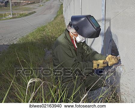 Stock Image - A U. S. Border Patrol employee patches a hole that has been cut in the fence along the international border between the United States and Mexico, San Ysidro, California, USA, North America. Fotosearch