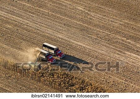 Aerial view, agricultural landscape in Central Valley, harvesting machines harvesting corn, Fresno, California, USA, North America View Large Photo Image Stock Image - Aerial view, agricultural landscape in Central Valley, harvesting machines harvesting corn, Fresno, California, USA, North America. Fotosearch