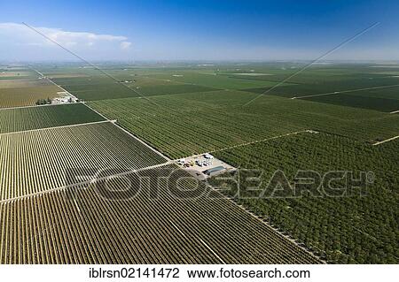Aerial view of farmland in Central Valley, Fresno, California, USA, North America View Large Photo Image Stock Image - Aerial view of farmland in Central Valley, Fresno, California, USA, North America. Fotosearch