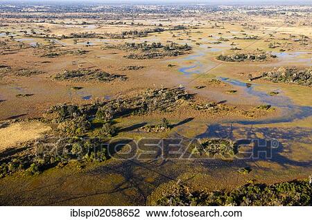 Aerial view of Okavango Delta, Botswana, Africa View Large Photo Image Stock Image - Aerial view of Okavango Delta, Botswana, Africa. Fotosearch