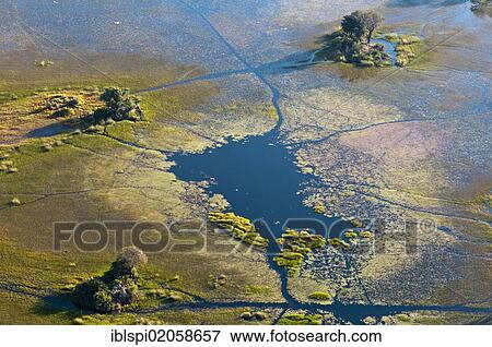 Aerial view of Okavango Delta, Botswana, Africa View Large Photo Image Stock Photo - Aerial view of Okavango Delta, Botswana, Africa. Fotosearch