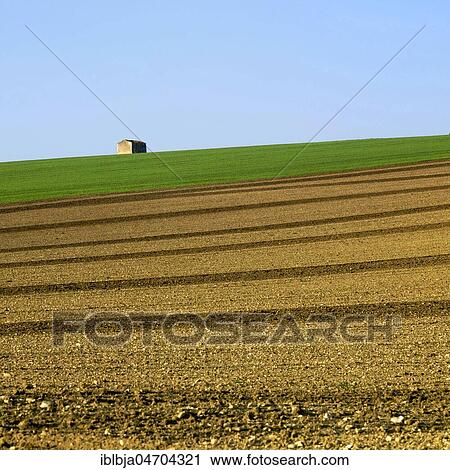 Stock Image - Agricultural landscape, Puy de Dome, Auvergne, France, Europe. Fotosearch