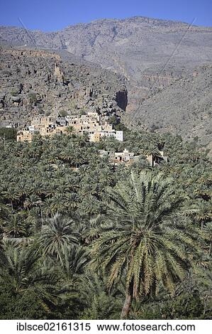 Al-Hamra, one of the oases in the Jebel Shams area, here the district of Misfah, Oman, Arabian Peninsula, Middle East, Asia View Large Photo Image Stock Photography - Al-Hamra, one of the oases in the Jebel Shams area, here the district of Misfah, Oman, Arabian Peninsula, Middle East, Asia. Fotosearch