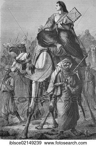 Alexandrine Tinne on a journey, Alexandrine Pieternella, Petronella, Françoise Tinné, 1835-1869, Dutch adventurer, Africa explorer and photographer, historic woodcut, c. 1880 View Large Photo Image Stock Photo - Alexandrine Tinne on a journey, Alexandrine Pieternella, Petronella, Françoise Tinné, 1835-1869, Dutch adventurer, Africa explorer and photographer, historic woodcut, c. 1880. Fotosearch