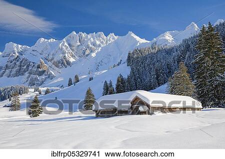 Alpstein massif with Saentis, Schwaegalp, Appenzell, Switzerland, Schwägalp, Europe View Large Photo Image Stock Image - Alpstein massif with Saentis, Schwaegalp, Appenzell, Switzerland, Schwägalp, Europe. Fotosearch