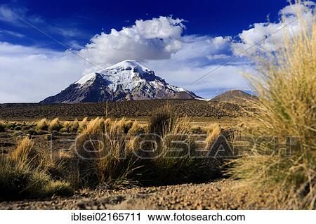 Andes Mountains, Sajama Mountain, La Paz, Bolivia, South America View Large Photo Image Stock Image - Andes Mountains, Sajama Mountain, La Paz, Bolivia, South America. Fotosearch