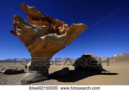Arbol de Piedra, tree of stone, Desierto, Uyuni, Bolivia, South America View Large Photo Image Stock Image - Arbol de Piedra, tree of stone, Desierto, Uyuni, Bolivia, South America. Fotosearch