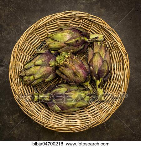 Artichokes in a wicker basket View Large Photo Image Stock Photo - Artichokes in a wicker basket. Fotosearch