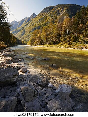 Autumn along the Soca River, Slovenia, Europe View Large Photo Image Stock Image - Autumn along the Soca River, Slovenia, Europe. Fotosearch