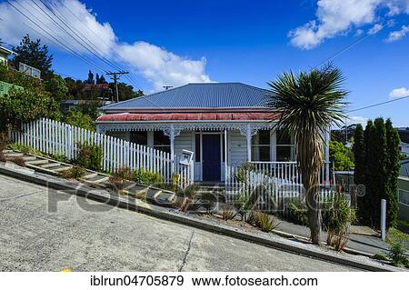 Baldwin street the worlds steepest residential street, Dunedin, South Island, New Zealand, Oceania View Large Photo Image Stock Photo - Baldwin street the worlds steepest residential street, Dunedin, South Island, New Zealand, Oceania. Fotosearch