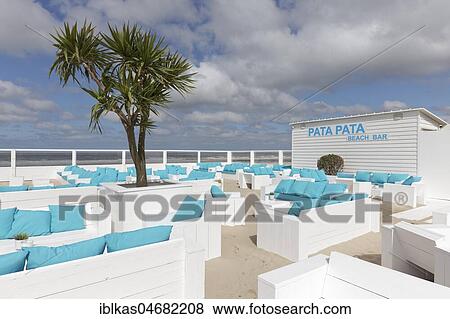 Beach bar with palm tree on the Belgian coast, Westende, West-Flanders, Belgium, Europe View Large Photo Image Stock Photo - Beach bar with palm tree on the Belgian coast, Westende, West-Flanders, Belgium, Europe. Fotosearch